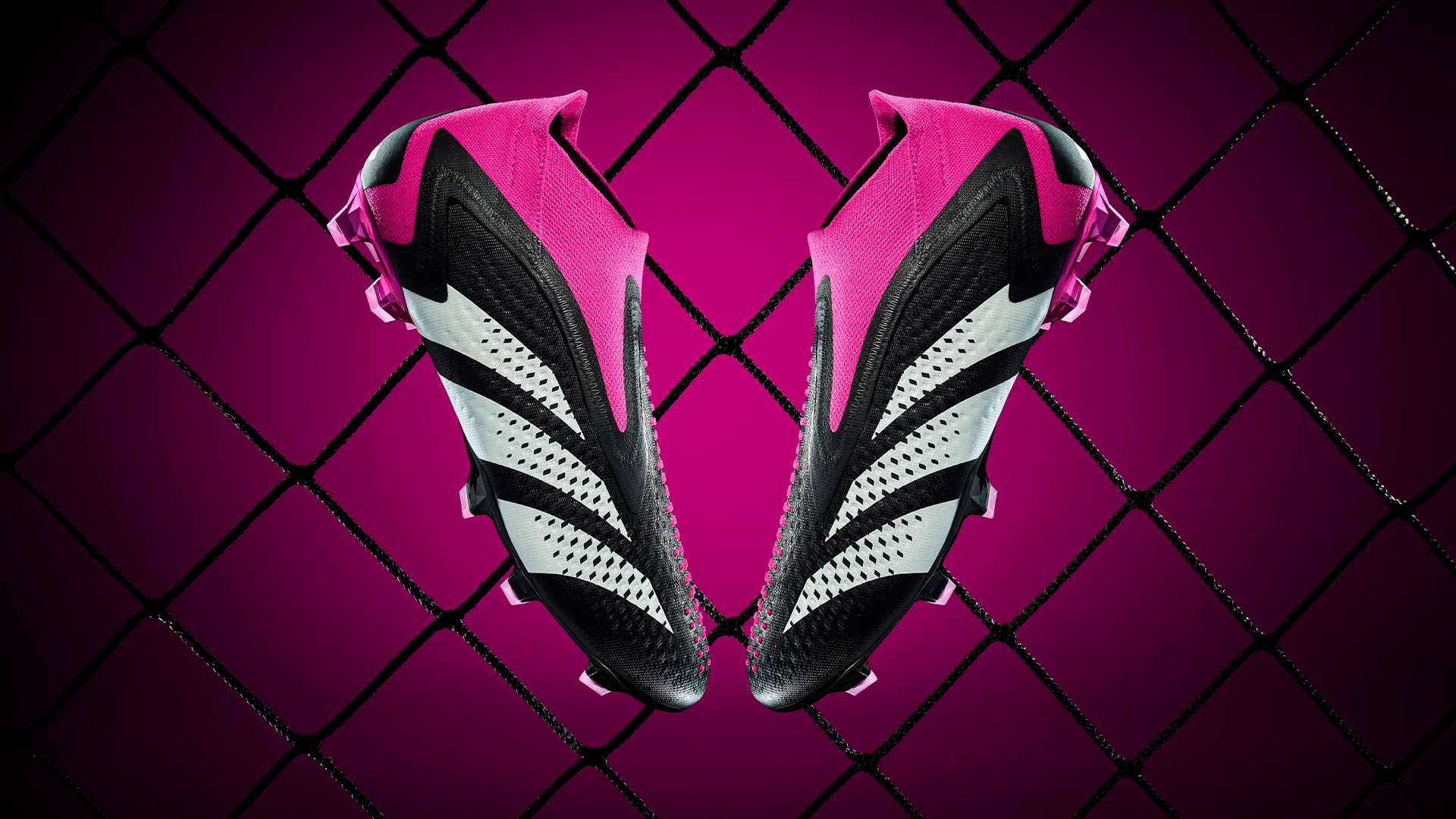 他的回归为 他的回归为